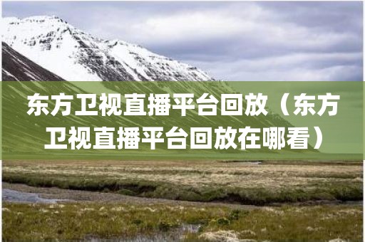 东方卫视直播平台回放（东方卫视直播平台回放在哪看）