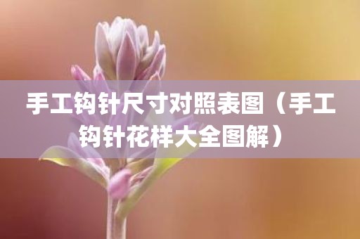 手工钩针尺寸对照表图（手工钩针花样大全图解）