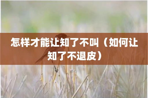 怎样才能让知了不叫（如何让知了不退皮）