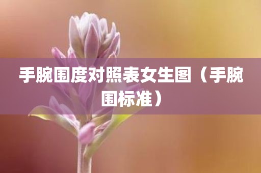手腕围度对照表女生图（手腕围标准）