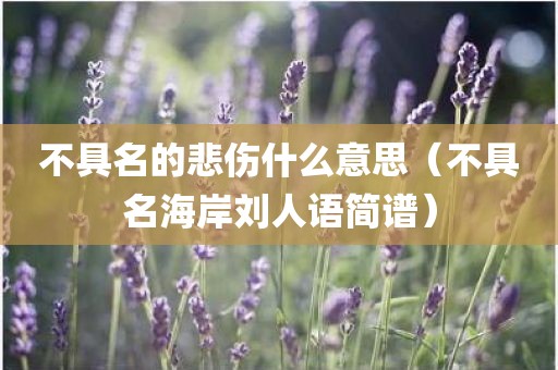 不具名的悲伤什么意思（不具名海岸刘人语简谱）