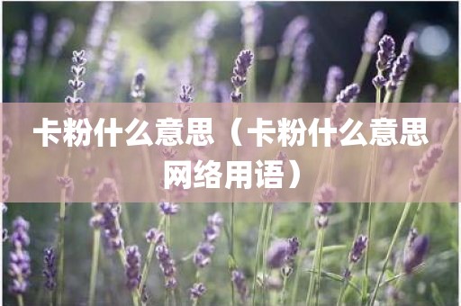 卡粉什么意思（卡粉什么意思网络用语）