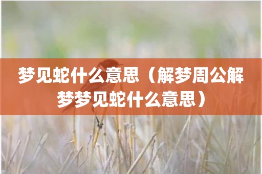 梦见蛇什么意思（解梦周公解梦梦见蛇什么意思）
