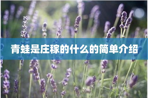 青蛙是庄稼的什么的简单介绍
