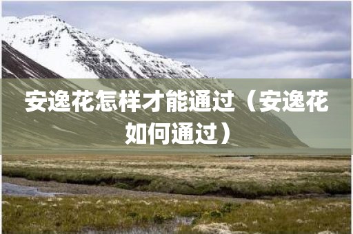 安逸花怎样才能通过（安逸花如何通过）