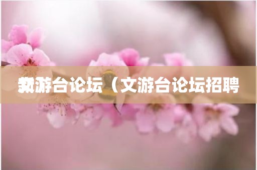 文游台论坛（文游台论坛招聘新）