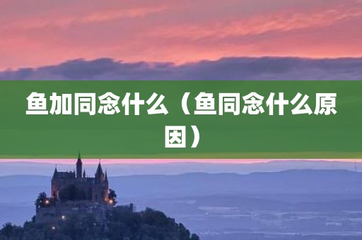 鱼加同念什么（鱼同念什么原因）