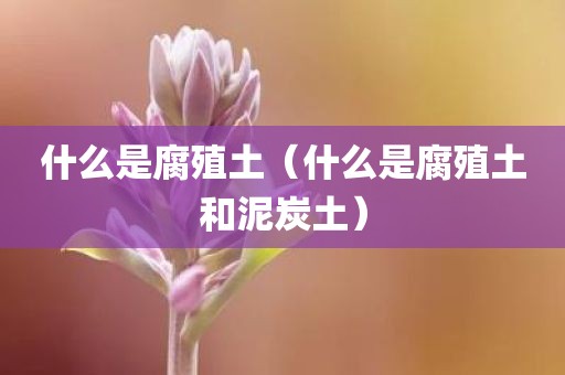 什么是腐殖土（什么是腐殖土和泥炭土）