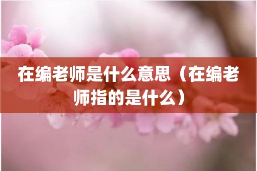 在编老师是什么意思（在编老师指的是什么）