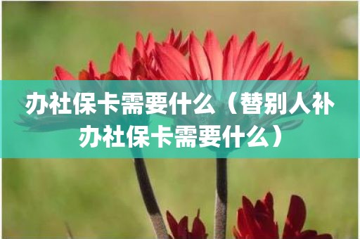 办社保卡需要什么(替别人补办社保卡需要什么)