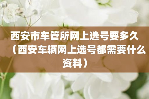 西安市车管所网上选号要多久（西安车辆网上选号都需要什么资料）
