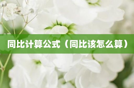 同比计算公式(同比该怎么算) 同比计算公式(同比该怎么算)
