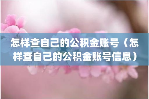 怎样查自己的公积金账号（怎样查自己的公积金账号信息）
