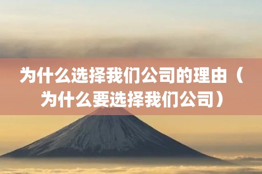 为什么选择我们公司的理由（为什么要选择我们公司）
