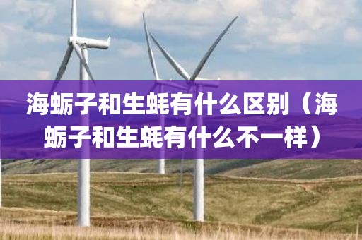 海蛎子和生蚝有什么区别（海蛎子和生蚝有什么不一样）