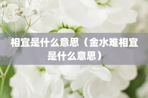 相宜是什么意思（金水难相宜是什么意思）