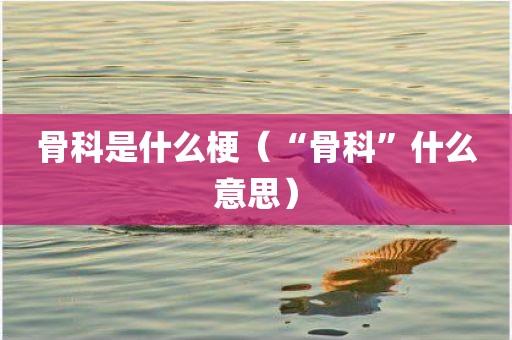 骨科是什么梗（“骨科”什么意思）