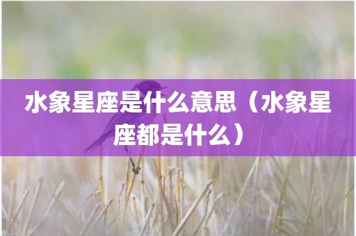 水象星座是什么意思（水象星座都是什么）