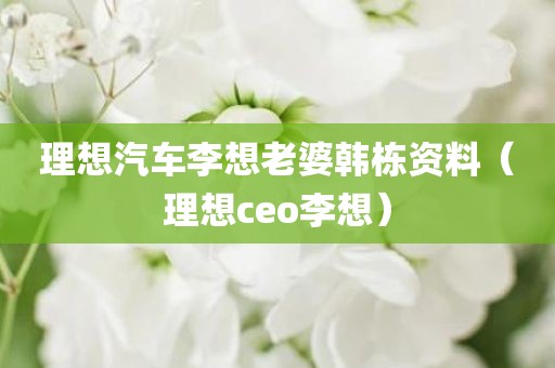 理想汽车李想老婆韩栋资料（理想ceo李想）