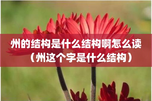州的结构是什么结构啊怎么读(州这个字是什么结构) 州的结构是什么结构啊怎么读(州这个字是什么结构)