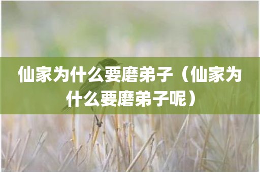 仙家为什么要磨弟子(仙家为什么要磨弟子呢) 仙家为什么要磨弟子(仙家为什么要磨弟子呢)