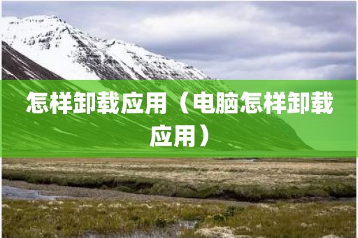 怎样卸载应用（电脑怎样卸载应用）