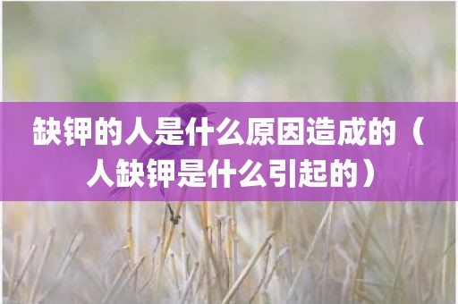 缺钾的人是什么原因造成的（人缺钾是什么引起的）