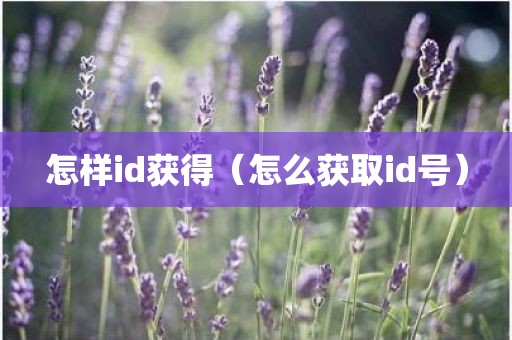 怎样id获得（怎么获取id号）