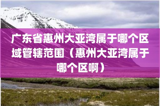 广东省惠州大亚湾属于哪个区域管辖范围（惠州大亚湾属于哪个区啊）