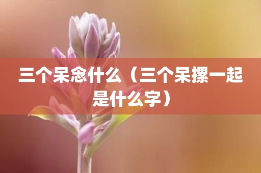 三个呆念什么（三个呆摞一起是什么字）