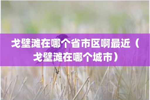 戈壁滩在哪个省市区啊最近（戈壁滩在哪个城市）