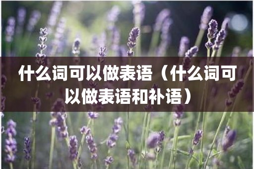 什么词可以做表语（什么词可以做表语和补语）