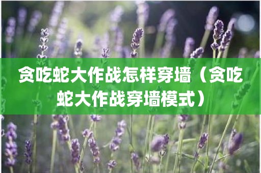 贪吃蛇大作战怎样穿墙（贪吃蛇大作战穿墙模式）
