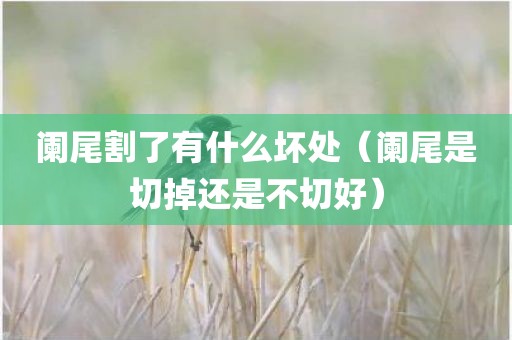 阑尾割了有什么坏处（阑尾是切掉还是不切好）