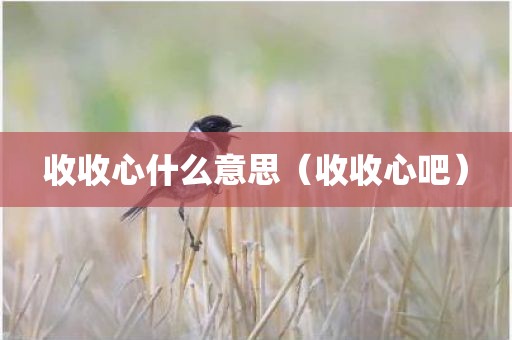 收收心什么意思（收收心吧）