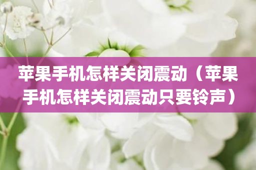 苹果手机怎样关闭震动（苹果手机怎样关闭震动只要铃声）
