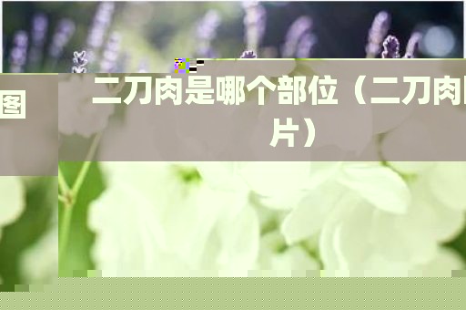 二刀肉是哪个部位（二刀肉图片）