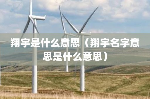 翔宇是什么意思（翔宇名字意思是什么意思）