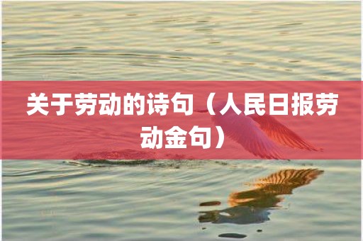 关于劳动的诗句(人民日报劳动金句)