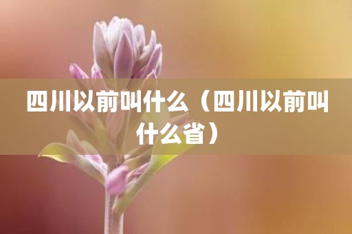 四川以前叫什么（四川以前叫什么省）