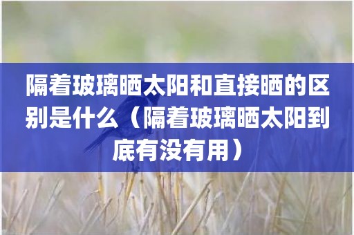 隔着玻璃晒太阳和直接晒的区别是什么（隔着玻璃晒太阳到底有没有用）