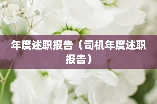 年度述职报告(司机年度述职报告)