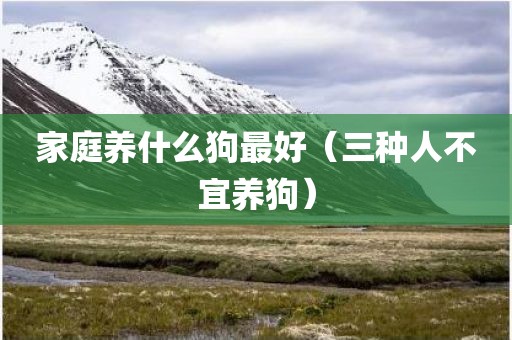 家庭养什么狗最好（三种人不宜养狗）