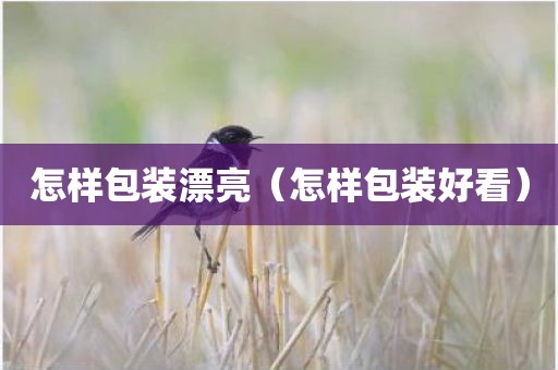 怎样包装漂亮（怎样包装好看）