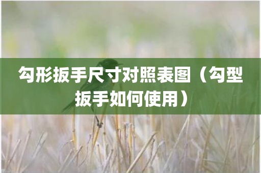 勾形扳手尺寸对照表图（勾型扳手如何使用）