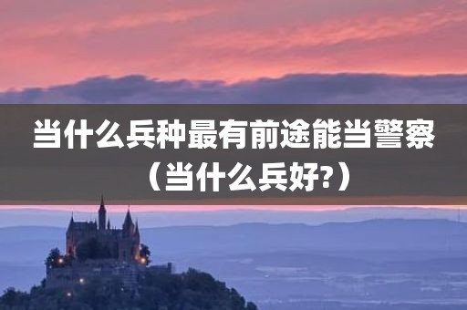 当什么兵种最有前途能当警察（当什么兵好?）