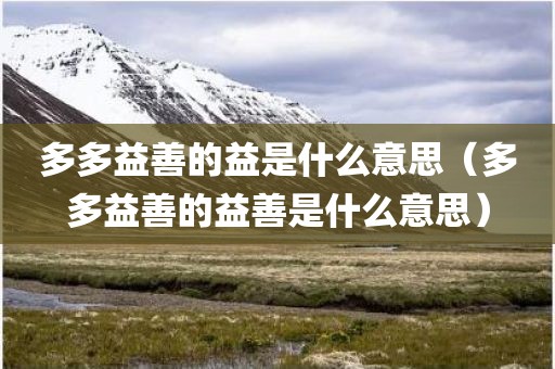 多多益善的益是什么意思（多多益善的益善是什么意思）