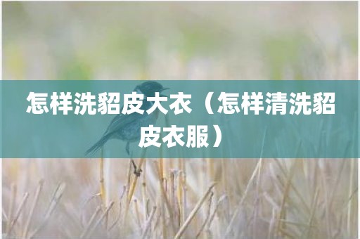 怎样洗貂皮大衣（怎样清洗貂皮衣服）