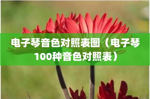 电子琴音色对照表图（电子琴100种音色对照表）