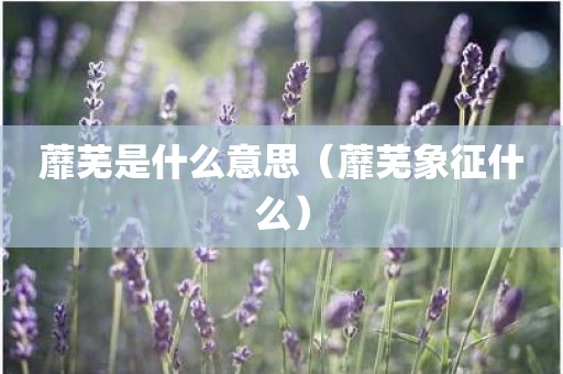 蘼芜是什么意思（蘼芜象征什么）